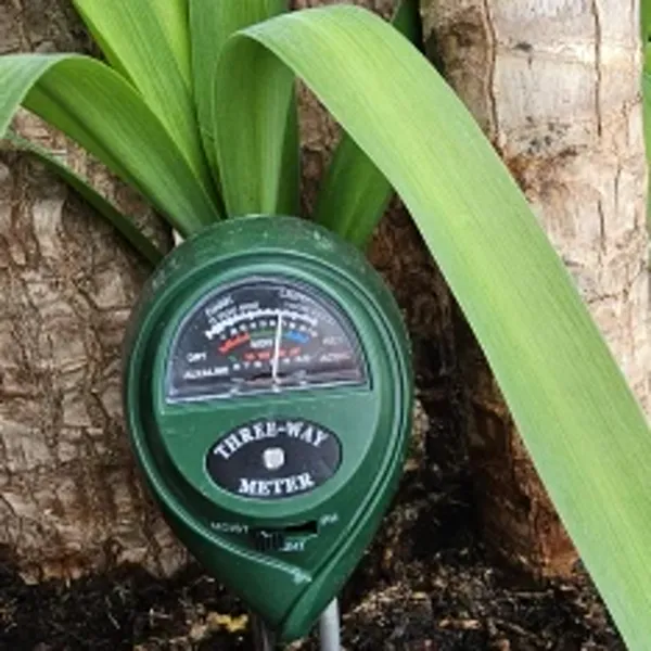 SoilSense 3-in-1 soil meter used by Marcus D., a verified buyer, in a real houseplant